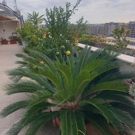 Ganaj La Terrazza Di Ganaj *
