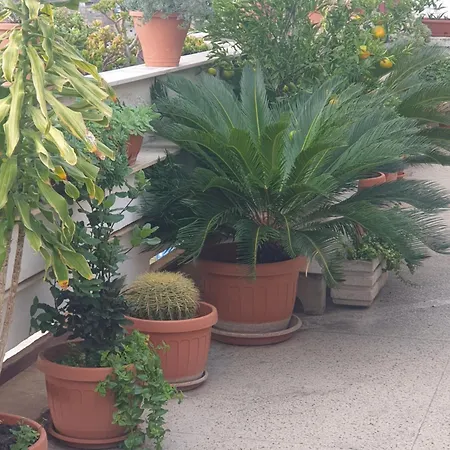 Ganaj La Terrazza Di Ganaj Bari