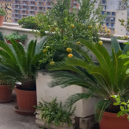 Ganaj La Terrazza Di Ganaj לינה וארוחת בוקר