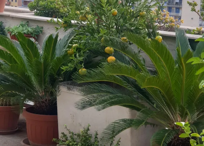 Ganaj La Terrazza Di Ganaj Bed & Breakfast