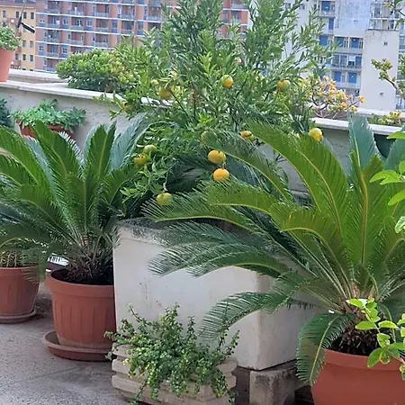 Ganaj La Terrazza Di Ganaj Bed & Breakfast Bari